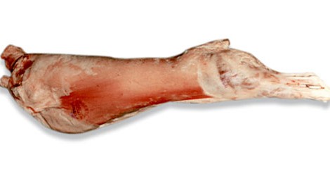 Patagonian Lamb carcass