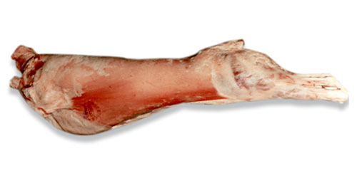 Patagonian Lamb carcass